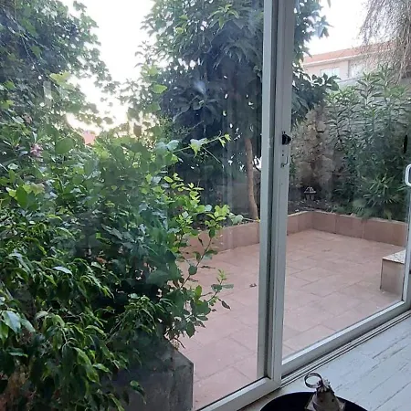 Stone Garden In The Heart Of The *